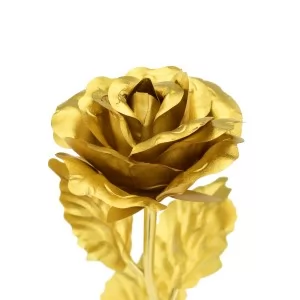 złota róża